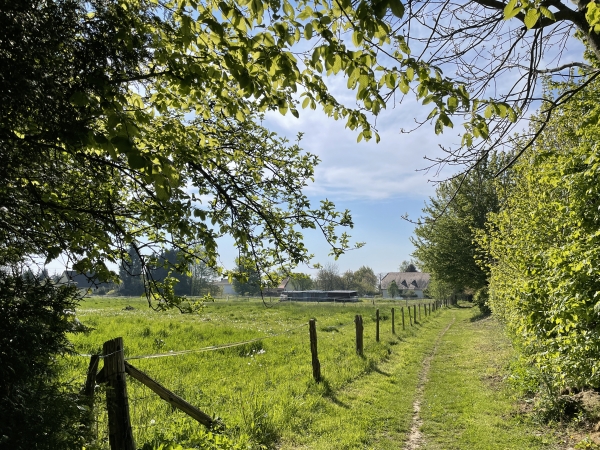 Nous contournons le bourg d'Ymare en suivant une succession de charmants chemins.