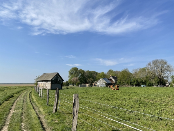 Nous contournons le bourg d'Ymare en suivant une succession de charmants chemins.