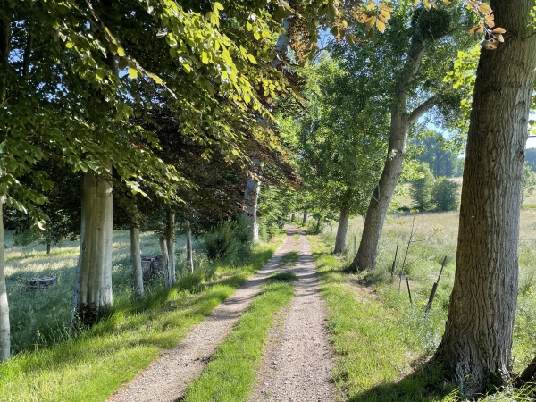 Nous sortons de la forêt de Jumièges, entre chênes, charmes et hêtres.