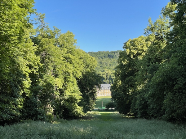 Dans la vallée, nous voyons le château du Taillis (XVIe et XVIIIe), construit sur les fondations d'une maison forte du XIIIe siècle.