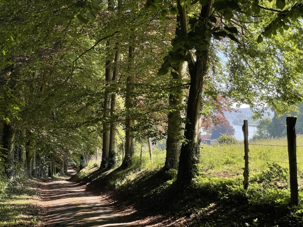 Nous descendons vers Saint-Paul, sur ce très beau chemin. On distingue la Seine, à droite.