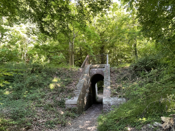 Nous passons sous l'ancienne voie ferrée Caudebec-Pavilly, devenue voie verte.