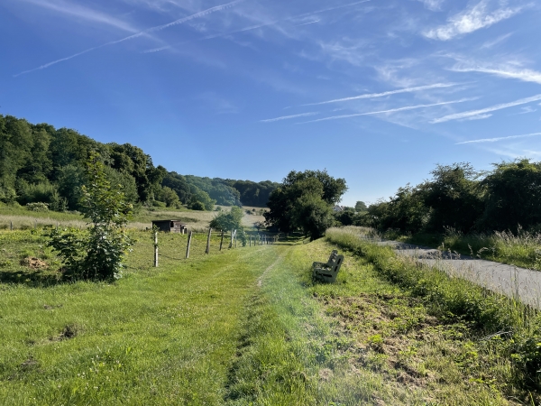 Le GR23A longe l'ancienne voie ferrée, puis monte en forêt.