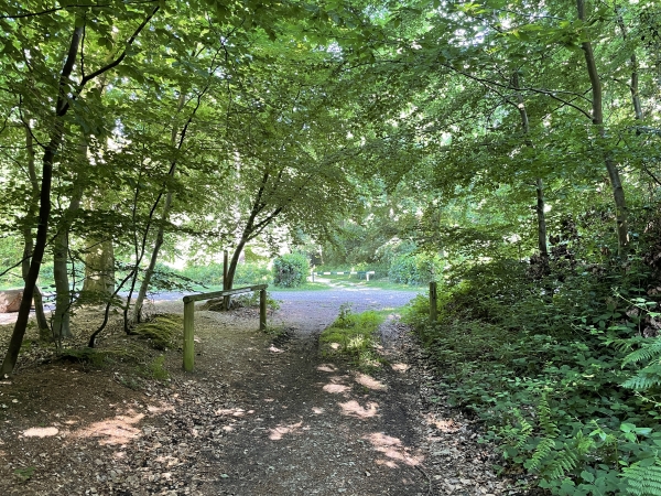 Au sommet, nous rejoignons le fameux GR2 et le suivons à gauche sur quelques dizaines de mètres