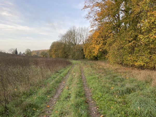 Au niveau de l'aire de pique-nique, nous avons rejoint le GRP des Coteaux de l'Eure. Nous allons suivre ses balises jaune et rouge jusqu'à Authouillet.