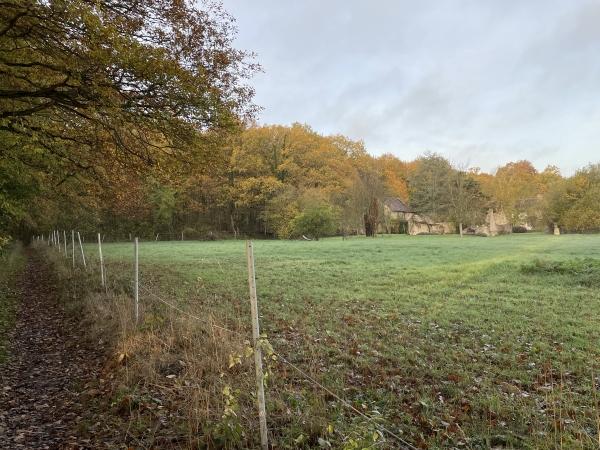 Juste avant d'entrer dans le bois, on peut voir l'ancienne ferme des Acres. Les propriétaires ont conservé quelques ruines romantiques d'anciens bâtiments (Voir l'album).