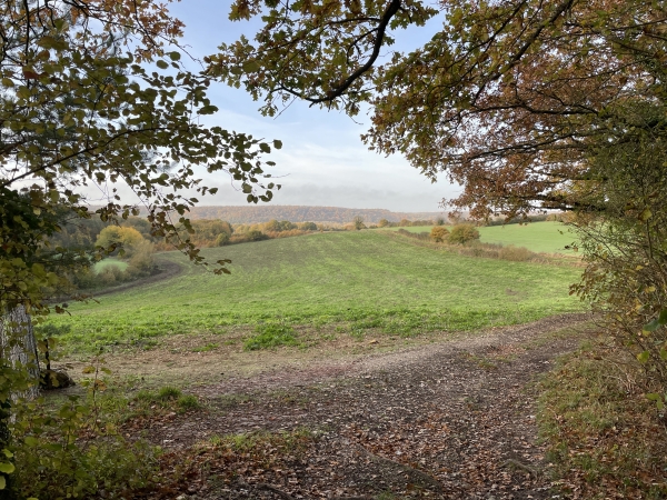 Nous sortons du bois aux Longs Champs.