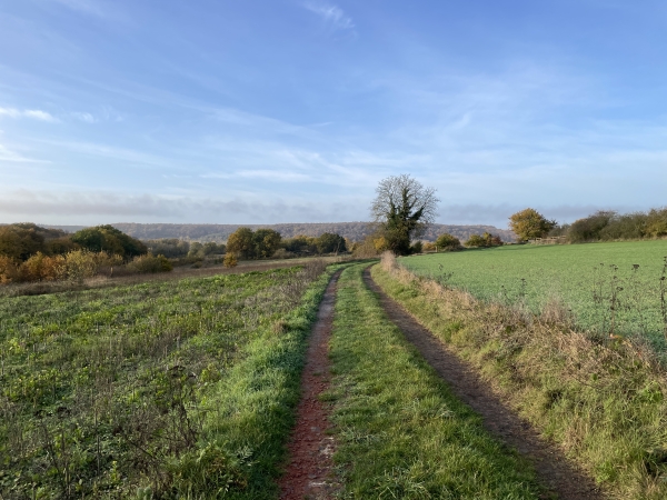 Les Longs Champs au-dessus de la vallée de l'Eure.