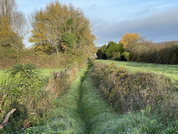 Un sentier longe la voie ferrée.