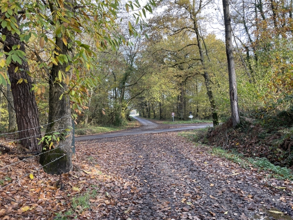 Le chemin se termine ici. Nous allons tourner à droite et suivre la petite route jusqu'à la ferme de la Petite Boulaye.