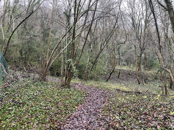 Nous montons la Côte Machelard, en lisière de la forêt de Merey.