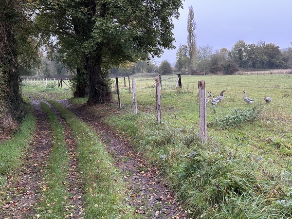 Chemin des Rues dans la vallée de la Risle.