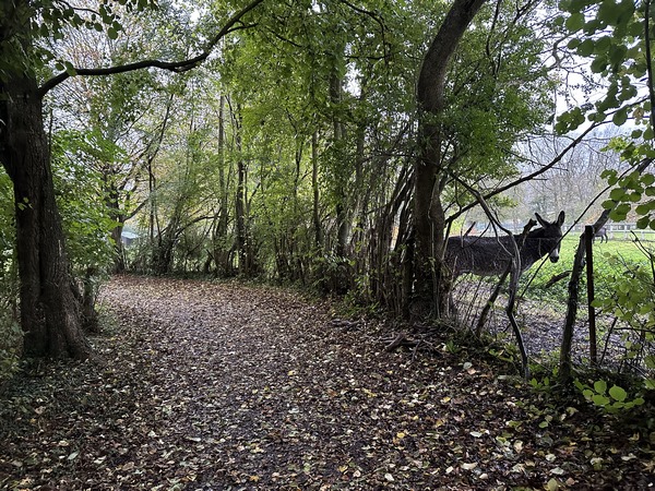 Chemin du Petit Pont. Il pleut abondamment, mais nous sommes équipés, et ce circuit est praticable en période humide.