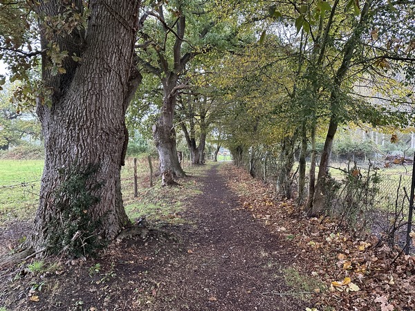 Les chemins de Beaumontel sont renforcés et bien entretenus.