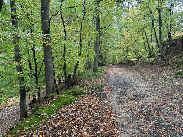 La dernière allée est l'ancienne voie Beaumont - Bernay (que suit aussi le GR224).&nbsp;