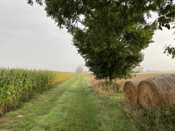 Nous nous éloignons du Theil-Nolent en traversant la plaine vers le nord.