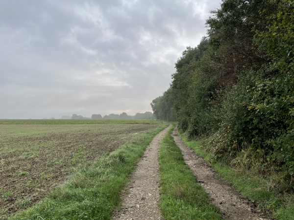 Nous tournons vers l'est sur le chemin des Bos Rault.