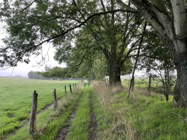 Au Plessis, nous repartons vers l'est en direction du Val Ricard.
