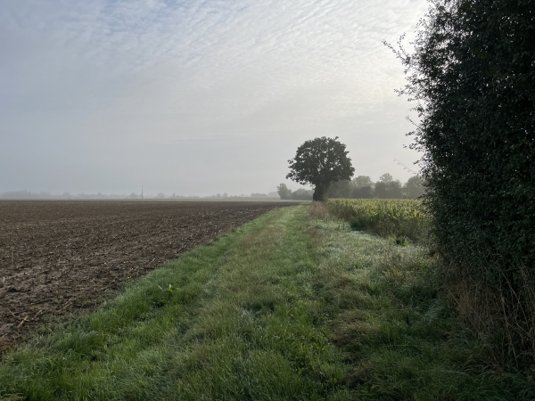Les chemins se succèdent entre plaines agricoles et passages boisés.