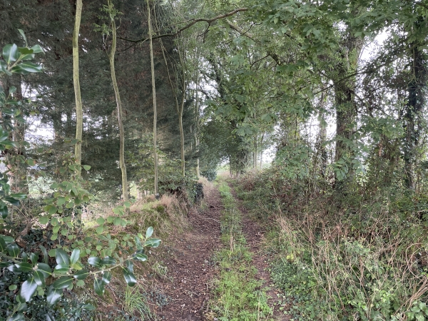 Nous marchons maintenant vers l'ouest, en direction du Theil-Nolent.