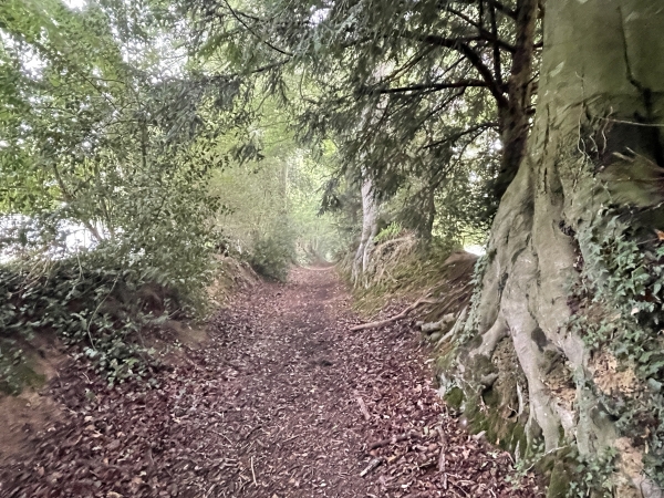 Le nom du château vient d'une ancienne abbaye du XIIe siècle, dont on voit encore des vestiges sur de vieilles cartes postales, avec en particulier ce qui ressemble à une grange dîmière.