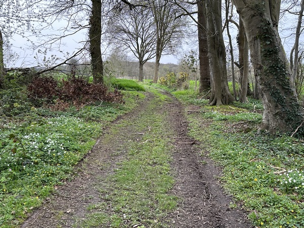 Nous suivons la rue de la Motte Féodale, pour arriver sur ce chemin que nous allons suivre pour traverser la D142.