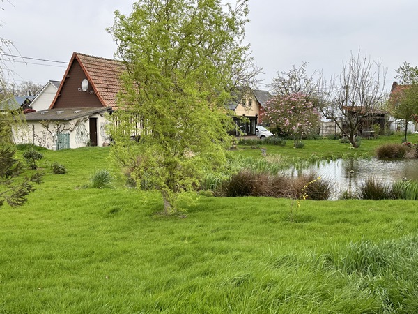 Nous contournons le bourg par la rue de la Mare.