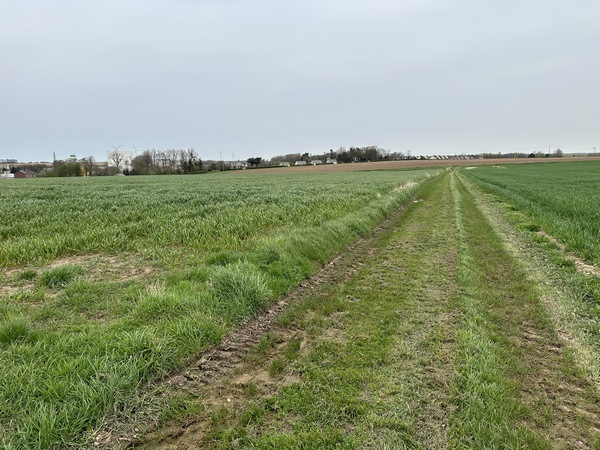 Après le hameau de Tonneville, nous traversons la plaine agricole du Tout Vent pour rejoindre Fontaine-le-Dun.