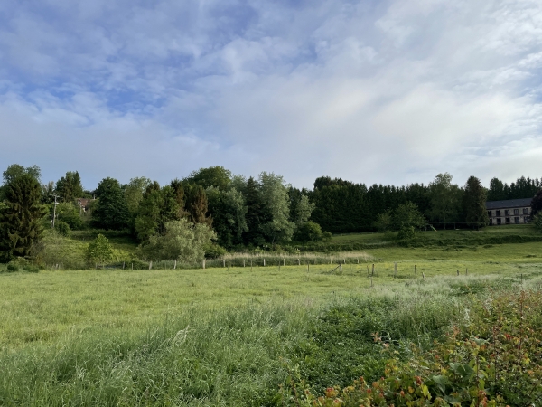 Nous sortons du village par la D24. A notre gauche, cette touffe de verdure est la source du Cailly. Au XIXe siècle, la vallée du Cailly était surnommée la petite Manchester, en raison du nombre important de ses filatures.