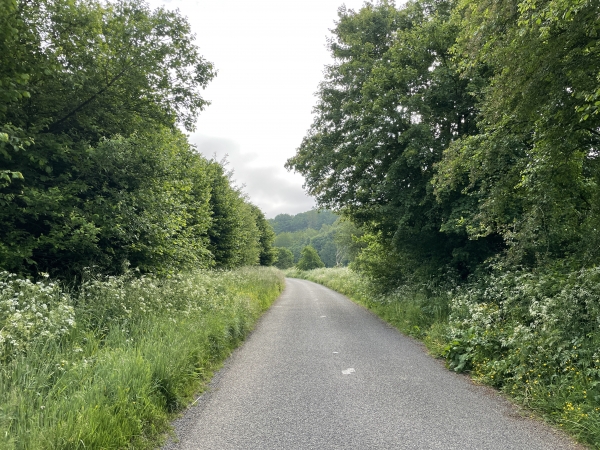 La D24, est une petite route tranquille, mais reste une route, comme 85% du circuit.