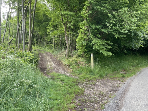 2km après notre départ, nous trouvons notre premier chemin. Nous montons dans le bois d'Yquebeuf.