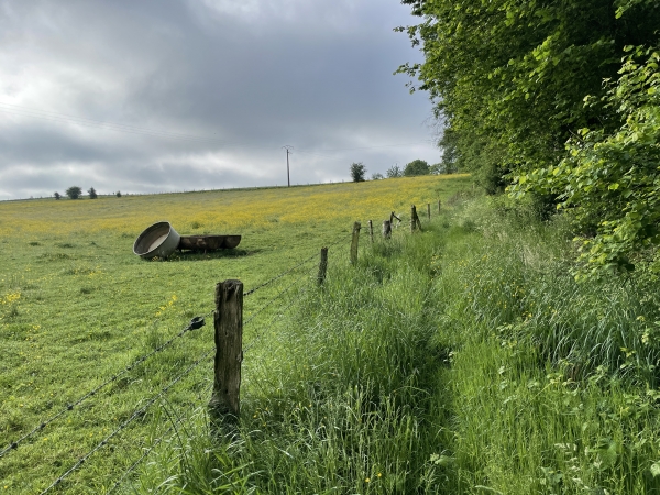 Nous sommes toujours à Yquebeuf, le chemin est donc envahi de hautes herbes.