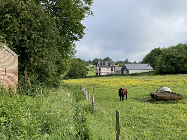 Regard arrière sur le chemin et la mairie d'Yquebeuf.