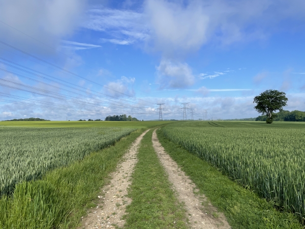 Nous suivons les pylones d'une des lignes de la centrale de Paluel.