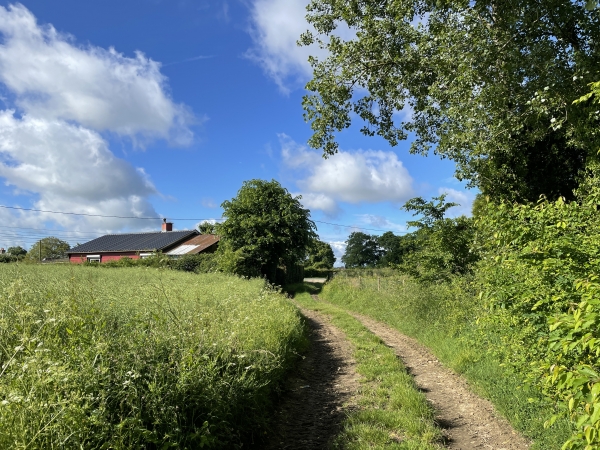 Nous arrivons au niveau de la D6. Nous allons tourner à droite et suivre la D6 sur 140 mètres.