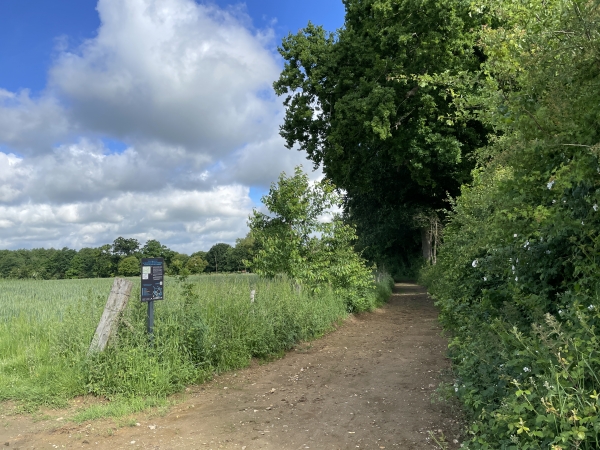 En quittant le bourg de la Rue-Saint-Pierre, nous croisons ce chemin dont le panneau, à gauche (cf album), nous explique l'origine. Il s'agissait d'une sorte de périphérique, qui reliait les voies romaines convergeant vers Cailly, et permettait d'éviter la descente dans la vallée, et la difficile remontée pour la traction animale.