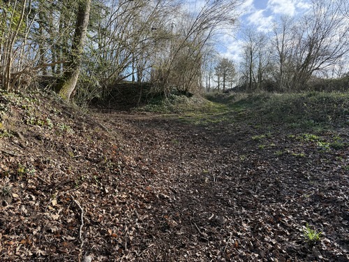 Montée de la Côte de la Louve Dalle vers le Bois Ricard.