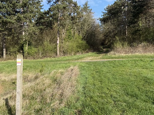 Depuis la traversée de la D836 le circuit suit les balises jaune et rouge du GRP Vallée de l'Eure, commun ici avec le GRP Côteaux de l'Eure. En face, se trouve l'entrée dans le Bois des Thillers.