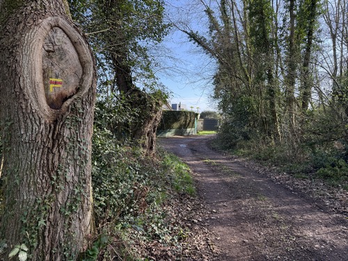 Le circuit quitte les GRP pour tourner à gauche juste avant d'entrer dans le village du Bois Ricard.