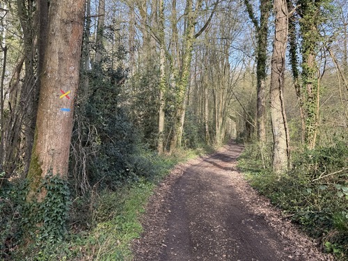 La traversée du Bois des Thillers se fait sur un large et beau chemin que l'on suit jusqu'à l'entrée d'Acquigny.