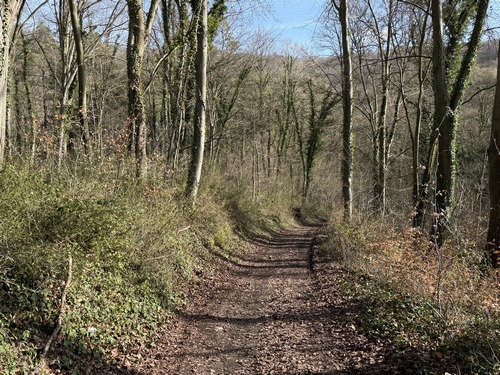 Nous sommes au lieu-dit Cambremont, lieu d'une forteresse du XIIe siècle dont il ne reste aucune trace visible pour le profane, et sur la colline en face se trouvait le Château Robert, fortification préhistorique et désormais site archéologique.