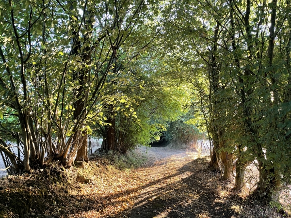 Nous contournons le hameau Hue par les chemins.