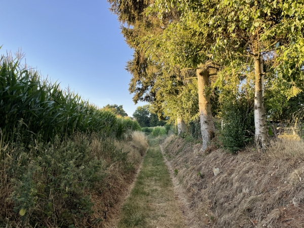 Nous suivons le chemin de la vallée vers le hameau de la Bertinière.