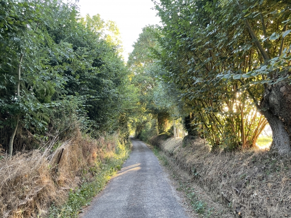 Hameau de la Bertinière.