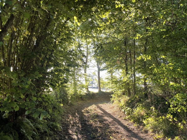 Nous sommes sur un plateau agricole, mais les chemins sont souvent boisés comme ici.