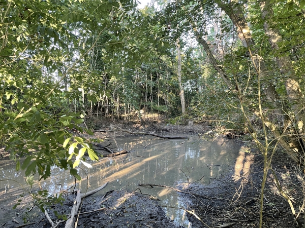Deuxième mare du circuit, un peu à l'abandon.