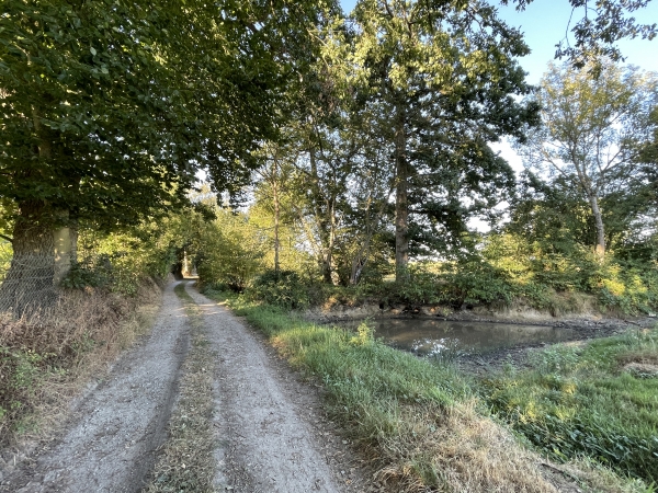 Troisième mare, au lieu-dit les Jumeaux.