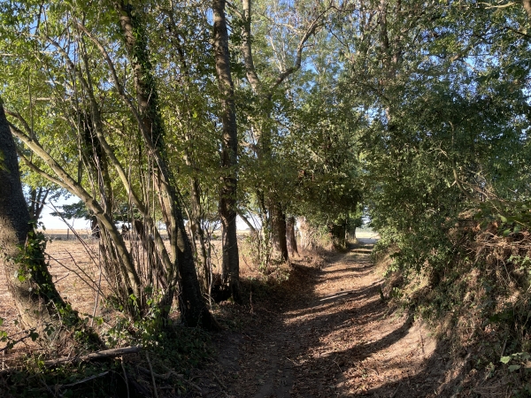 Chemin entre les Jumeaux et Dommesque (ou Domenesque).