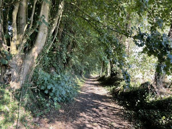 Dernier chemin avant la fin du circuit.