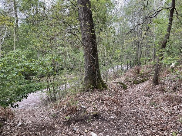 Le circuit officiel rejoint la petite route de la Côte Saint-Sauveur. Nous décidons de rester sur le chemin.